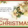 Merry Christmas