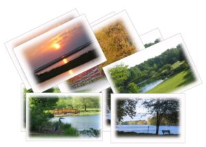 Scenic Note Cards