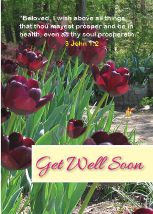 Get well soon greeting with tulips in the background