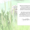 A Chosen Servant for Ordination - Image 2