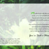 Wishing You God’s Blessings, First Lady - Image 2